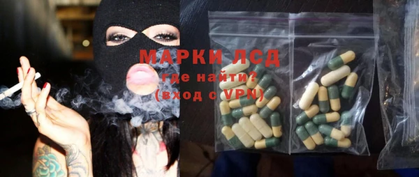 PSILOCYBIN Аркадак