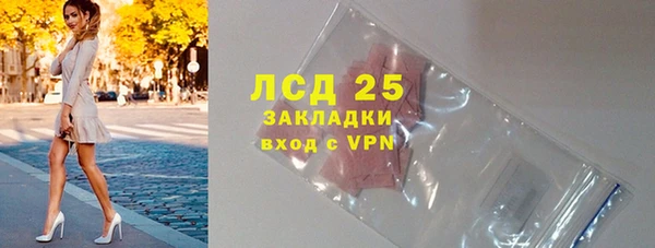 PSILOCYBIN Аркадак