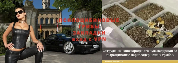 PSILOCYBIN Аркадак