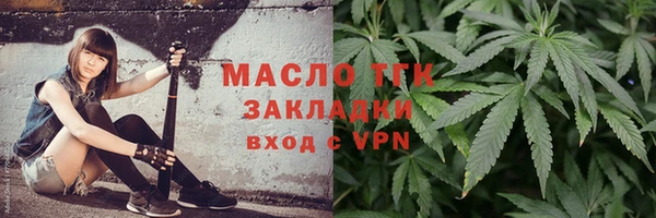 PSILOCYBIN Аркадак